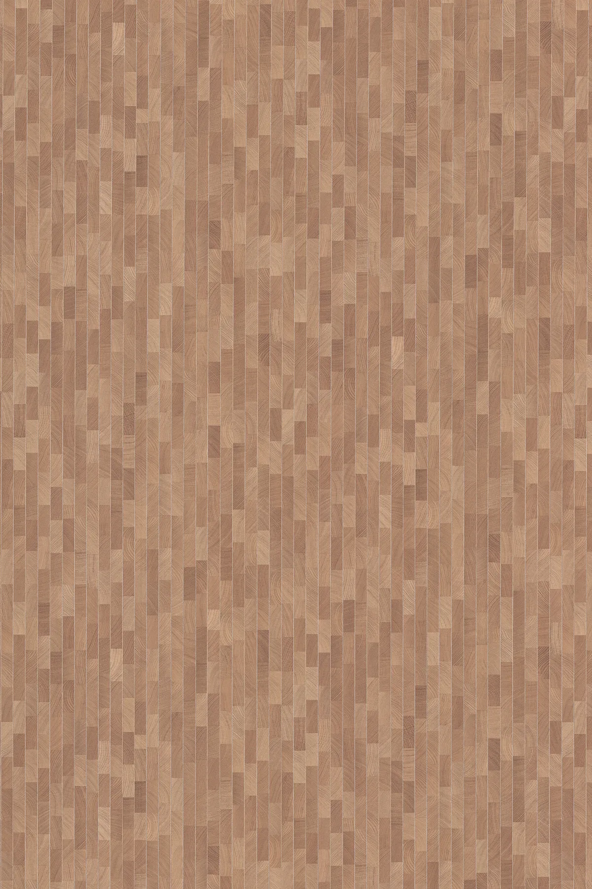 DG-5007
